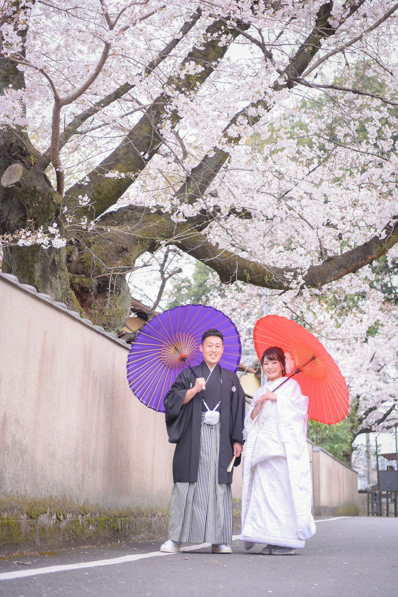 【桜ロケーション＋小江戸データ６0カット付き】198000円