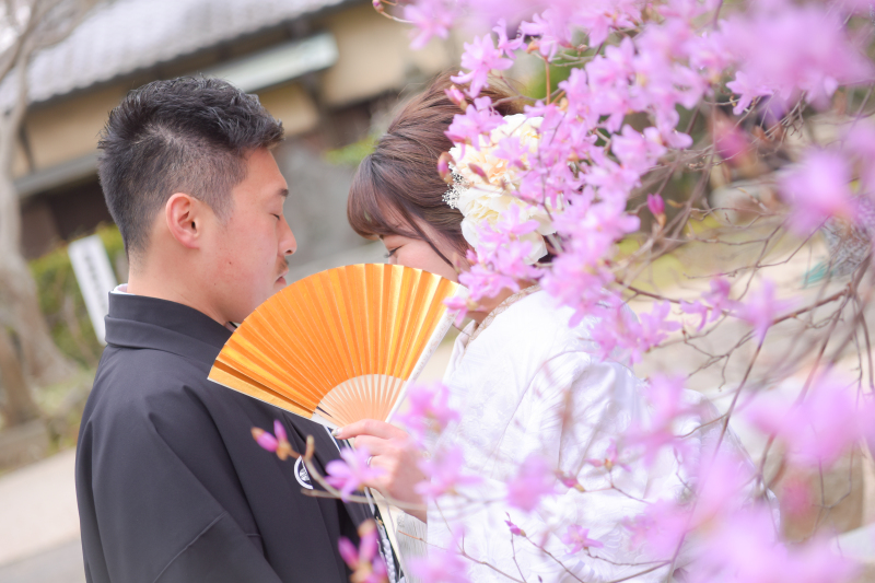 桜ロケーションフォト　レタッチ付き　￥143000