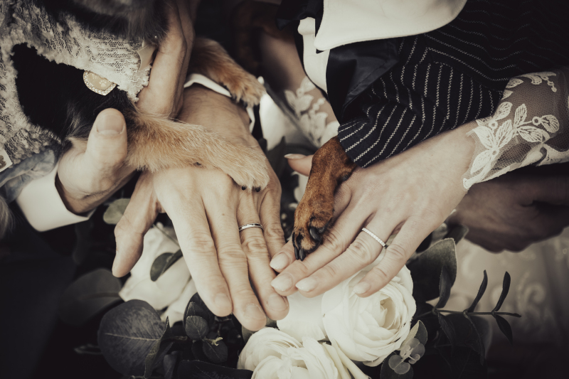 タイミングを合わせて・・・