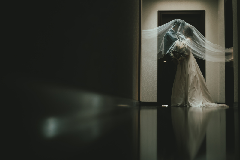 ∴‥∵‥∴‥∵‥∴‥∴‥∵‥∴‥∵‥∴‥∴‥∵