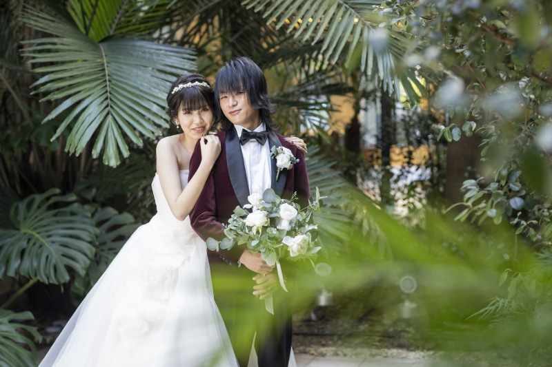 まるでジャングル風?フォト