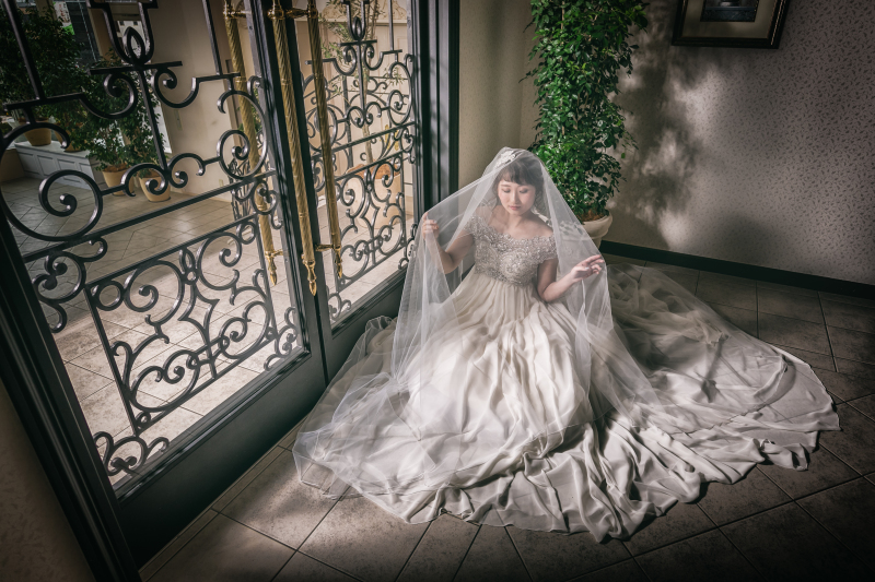 ∴‥∵‥∴‥∵‥∴‥∴‥∵‥∴‥∵‥∴‥∴‥∵