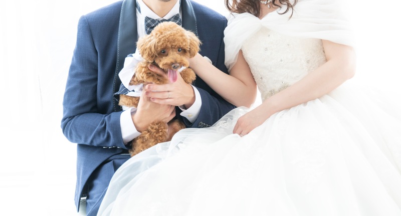 SCENE+RESORT_ペットと一緒に撮影できる