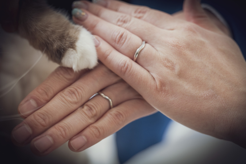 大切な一日をペットも可愛らしくおめかし♡