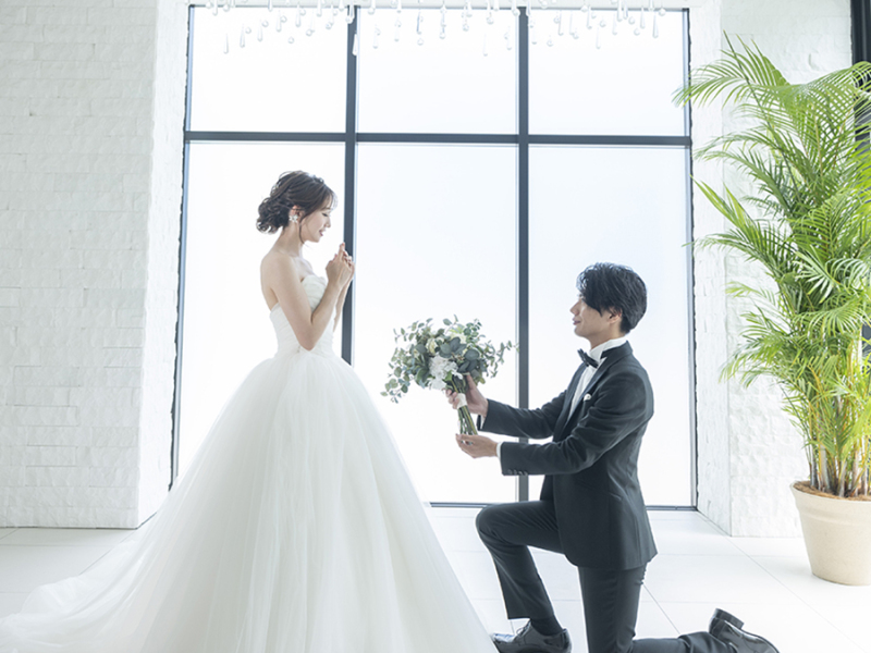 スタンダード◇データ撮影【Aプラン】ドレス1点・タキシード1点◇250カット撮影<22万円>