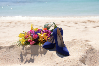 【N様】晴天の半日ツアー