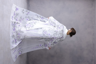 オーガンジー.９.