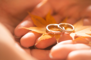 紅葉ロケーション撮影