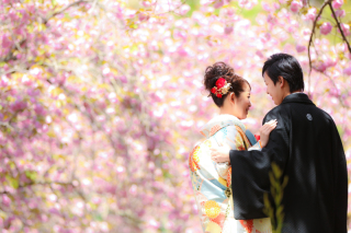 桜ロケーション前撮り