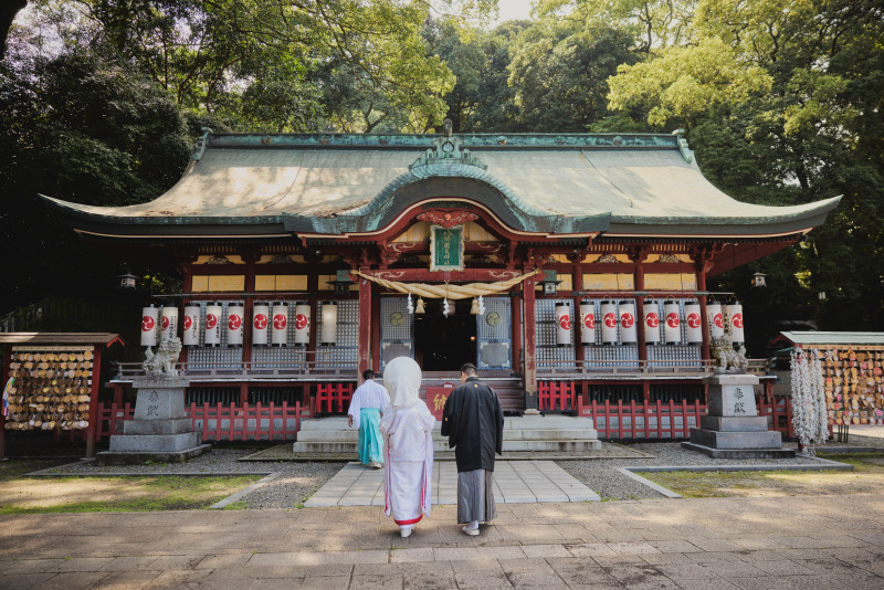 メッセージをお願いします