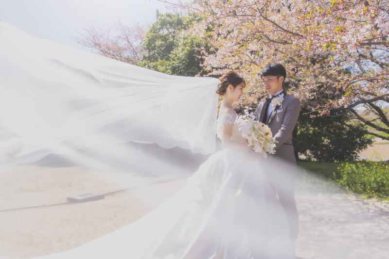 桜フォト・・・⚘⚘