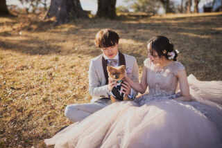 ‐ 終わったことが寂しく思います ‐