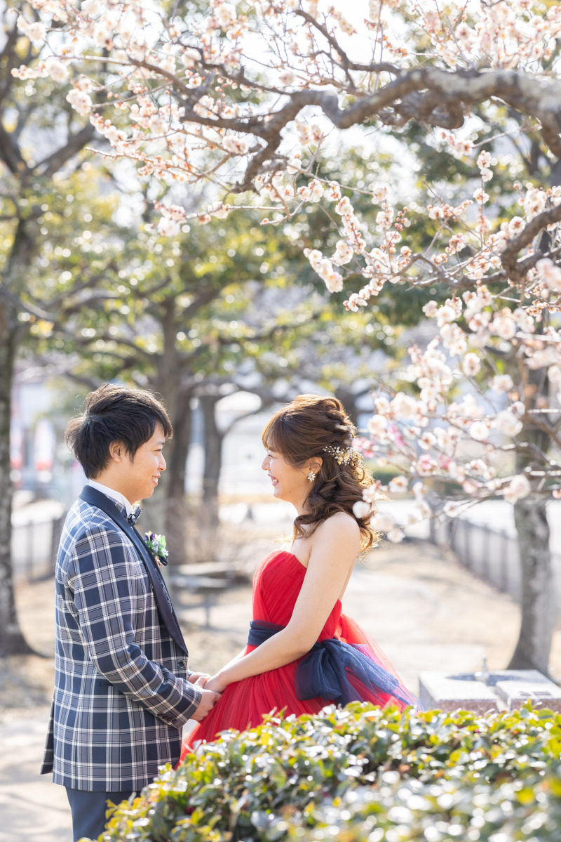 春を感じさせてくれる一枚に⚘⚘