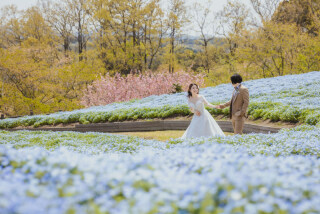 -　とても楽しく撮影できました　-
