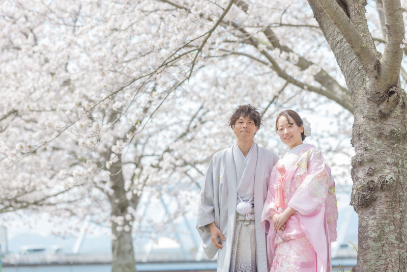 - 桜と橋梁 -