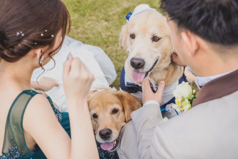 - ずっと夢だった愛犬と一緒に -