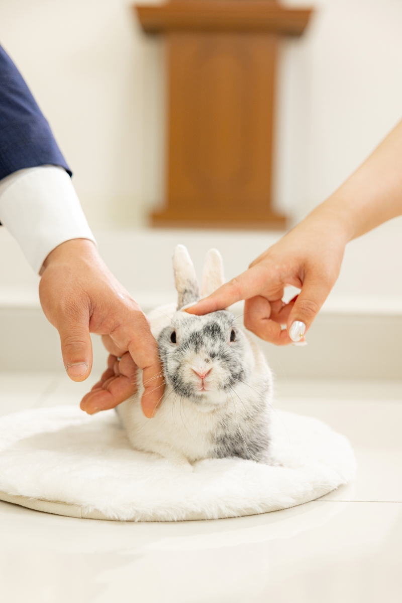 ‐ ペットと一緒に -