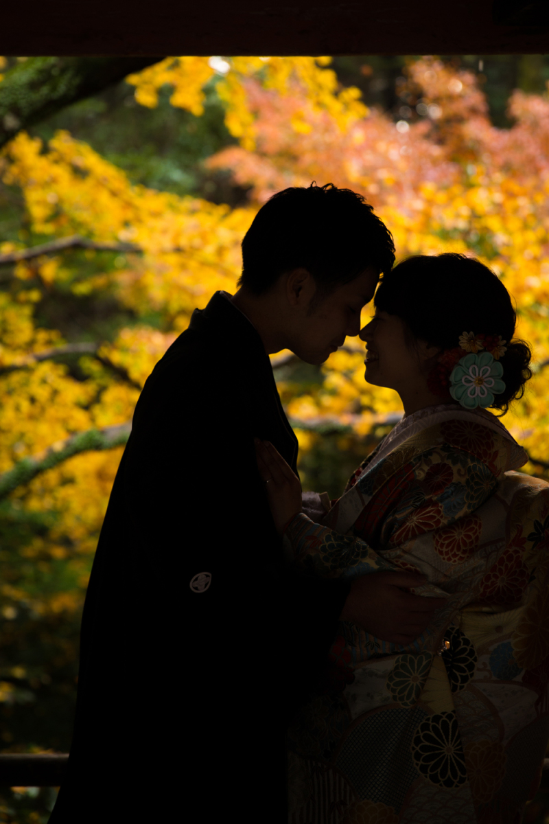 ⊛シルエット写真も…