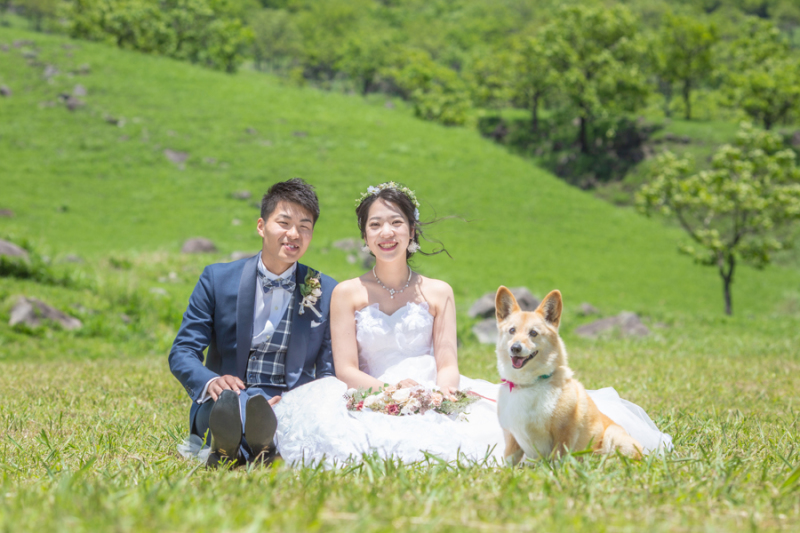 新婦様の愛犬ちゃんとも♡