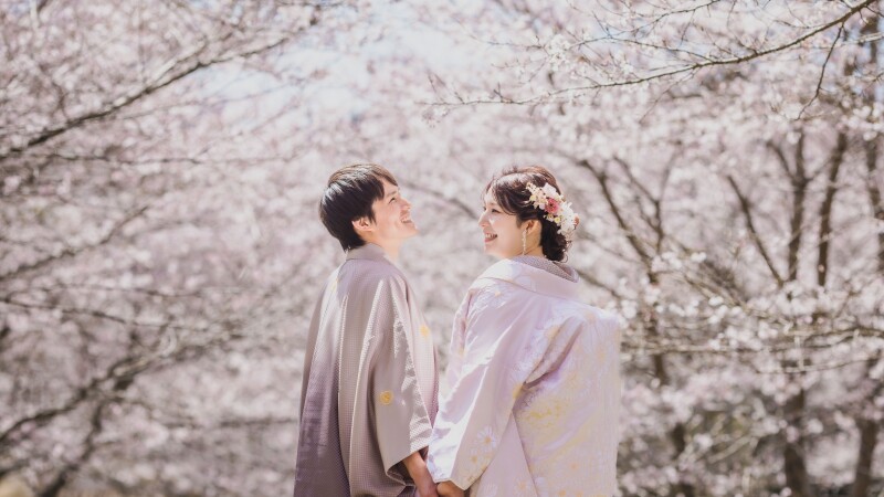 2026春のおすすめプラン