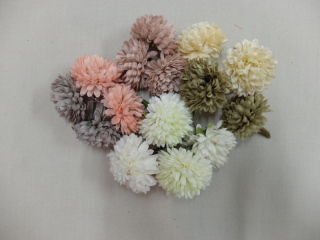 ヘアード：ピンポンマムO/48 