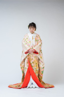 取り寄せ色打掛：I-6