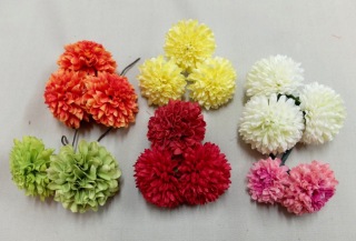 ヘアード：ピンポンマム232