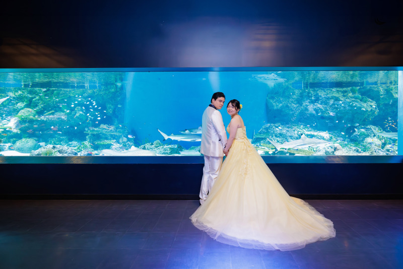 リトルパラダイス