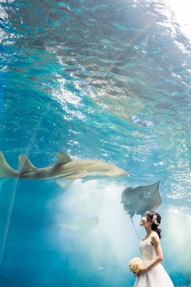 新婦様のソロショット