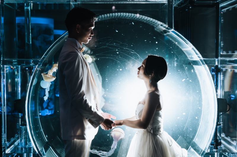 ジェリーフィッシュランブル