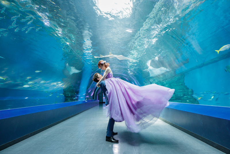 ワンダーチューブで