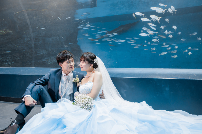 お魚たちからのお祝い