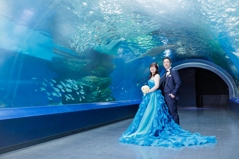 ワンダーチューブの撮影