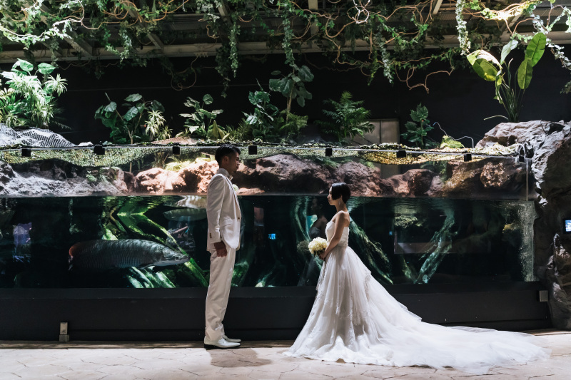 アクアジャングル