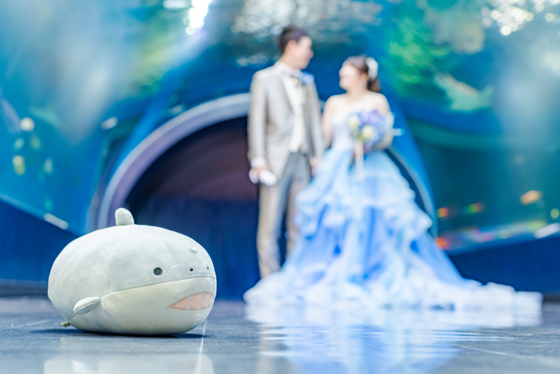 可愛いぬいぐるみと一緒に!