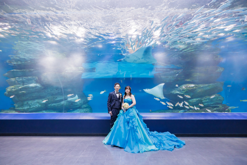 空を泳いでいるかのような水槽