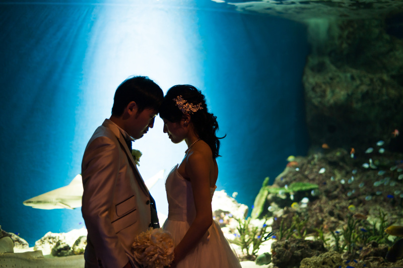 シルエット写真