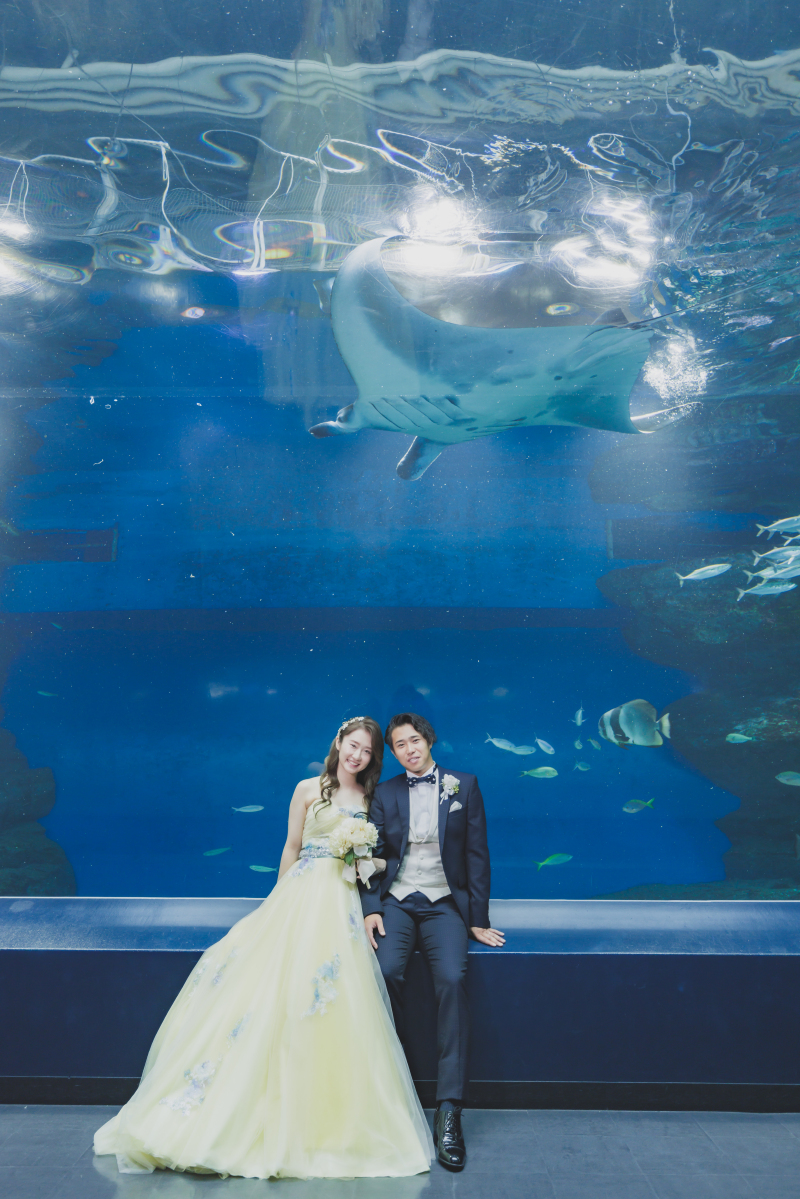 マンタからのお祝いも！