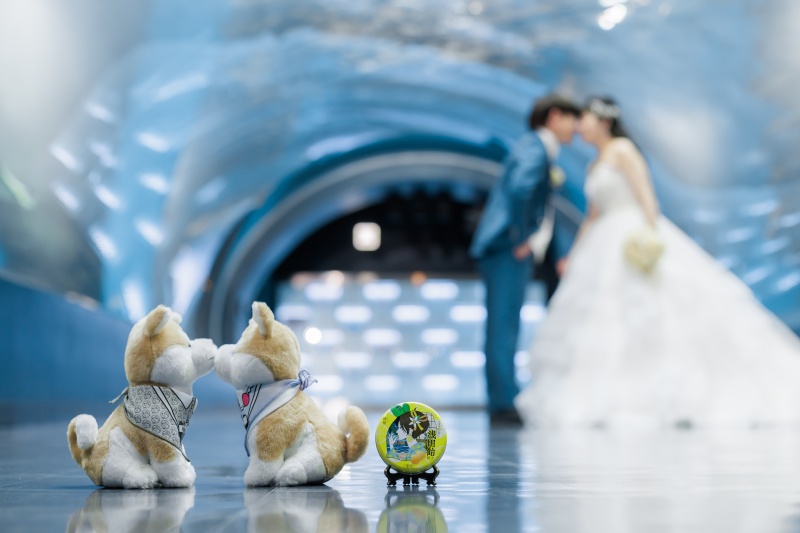 ぬいぐるみと一緒のポーズで♡