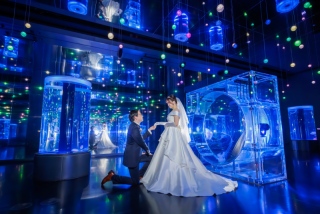 【洋装】1日1組限定アクアパーク品川撮影