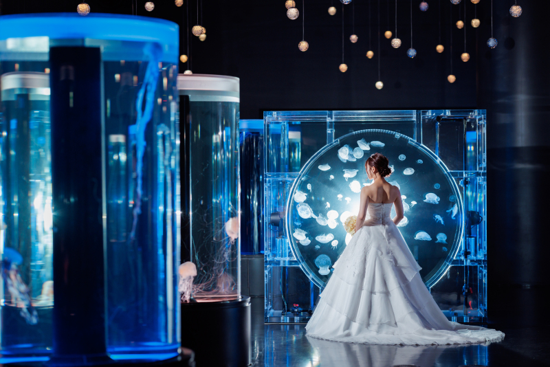 ご新婦様ソロショット