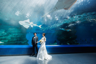 【洋装】アクアパークプランで二人の思い出に