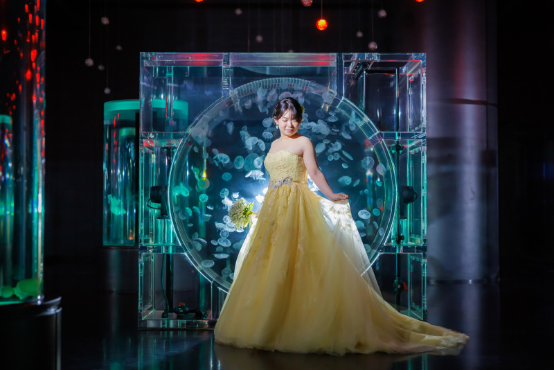 ジェリーフィッシュランブル1