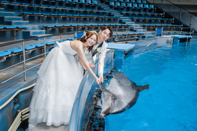 本物のイルカと!