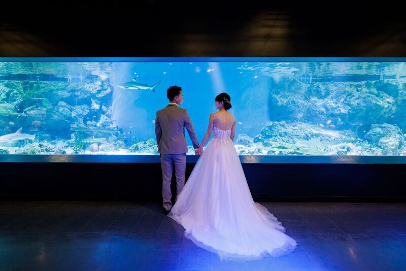 バックショット