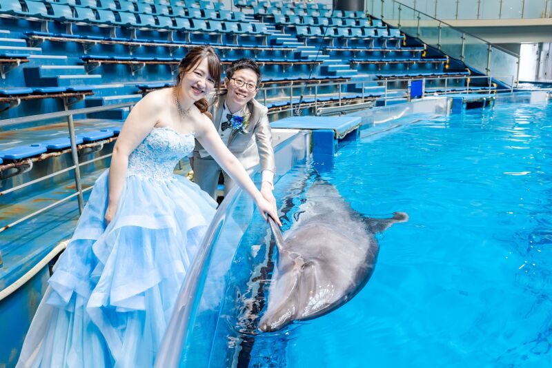 イルカと握手!