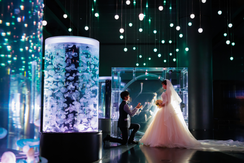 ジェリーフィッシュ