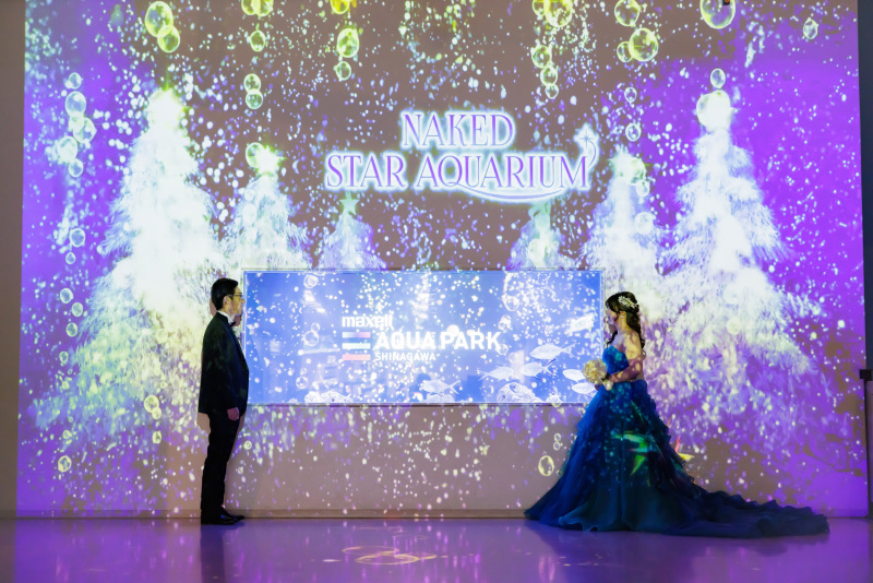 ウェルカム水槽