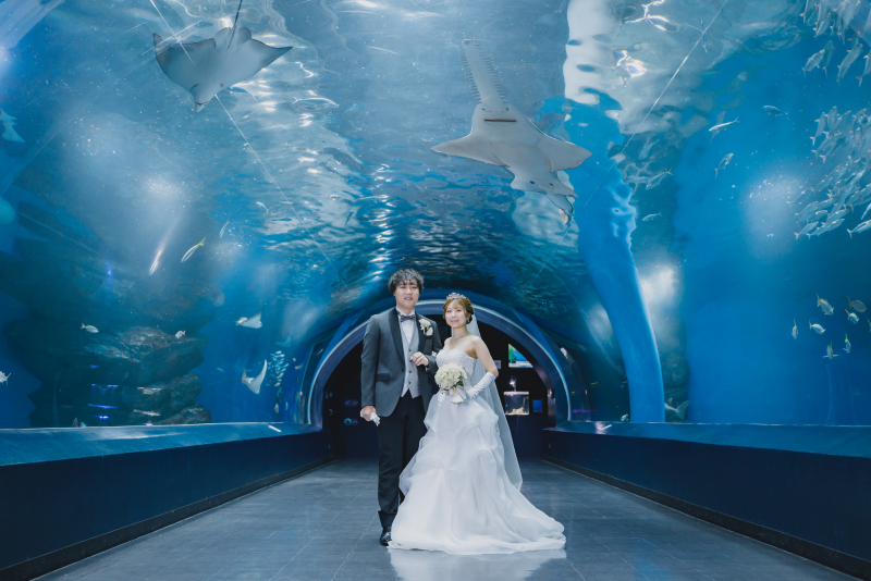 かっちりショット