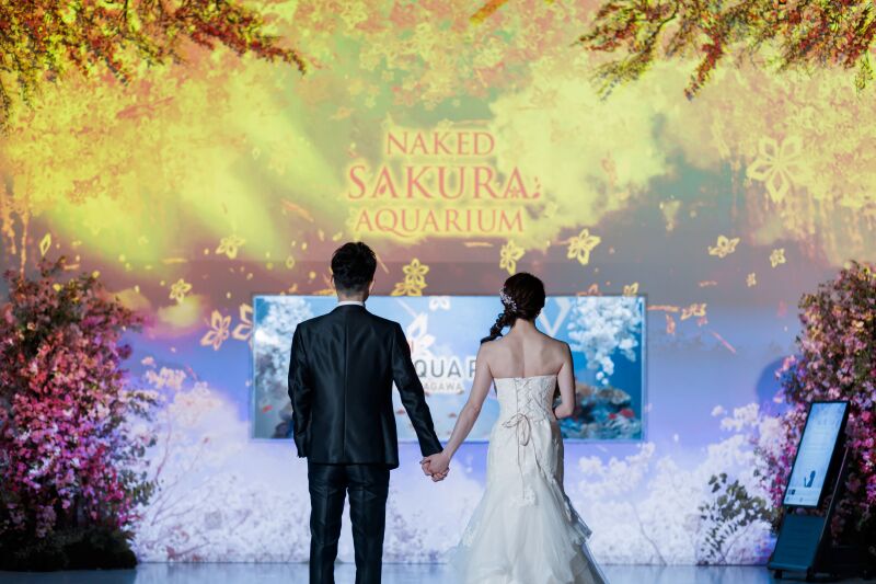 プロジェクションマッピング